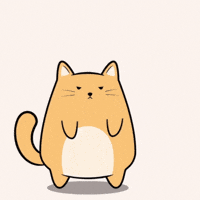 Cat Love GIF by MESA My Emotional Support Animal