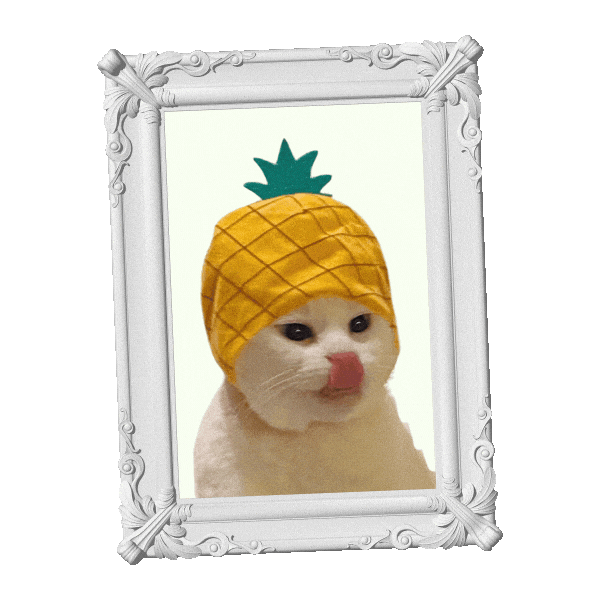 Animated Sticker