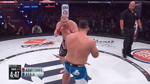 GIF by Bellator