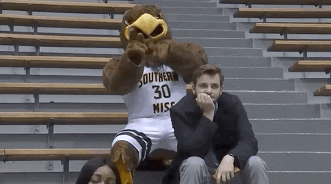 Golden Eagles No GIF by Southern Miss Athletics
