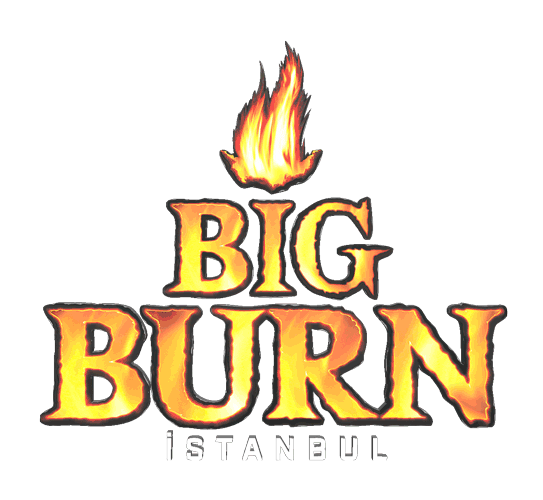 Festival Bigburnistanbul Sticker by BURN_Energy