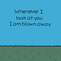 I Love You Dogs GIF by Chippy the Dog