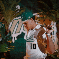 South Florida Baseball GIF by USF Athletics