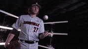 University Of Louisville Baseball GIF by Louisville Cardinals