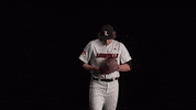 University Of Louisville Baseball GIF by Louisville Cardinals