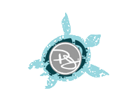 turtle panamajackresorts Sticker by Playa Hotels & Resorts