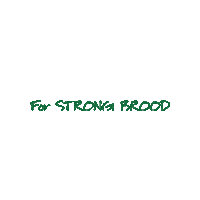 Bee Beestrong Sticker by BeeVital