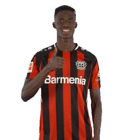 I Like Yes Sticker by Bayer 04 Leverkusen
