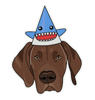 Dog Shark Sticker