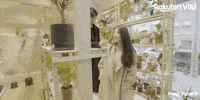 Dramacoreano Kdrama Couple GIF by Viki