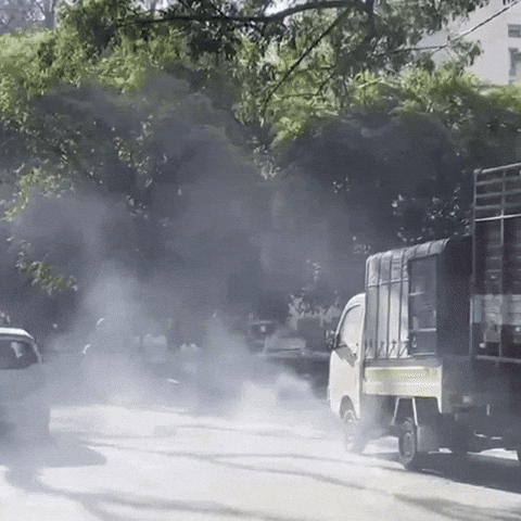 GIF by Crossover Basketball and Scholars Academy