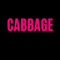 Cake GIF by Cabbage Patch Bakery