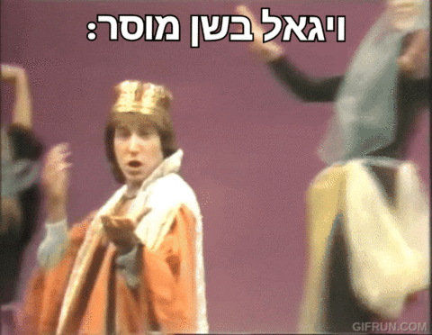 benmeiri david bashan yigal יגאל בשן GIF