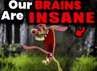 Ren And Stimpy Nickelodeon GIF