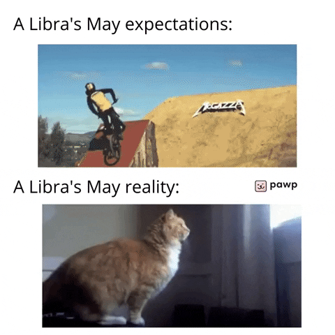 mypawp giphyupload GIF