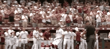 Notre Dame Baseball GIF by NCAA Championships