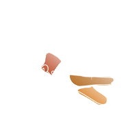 Paint Cricket Sticker by Protek