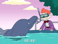 all grown up nicksplat GIF