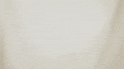 Celebrate College Sports GIF by University of North Dakota