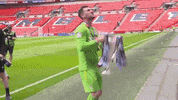 AstonVillaFC sports football sport soccer GIF
