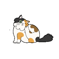 Catalogue2026 cat catalogue2026 Sticker