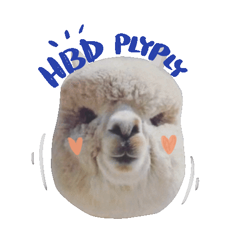 Plyplybd Sticker