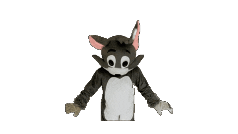 Football Tom Sticker by Kirchdorf Wildcats