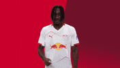 Football Soccer GIF by RB Leipzig
