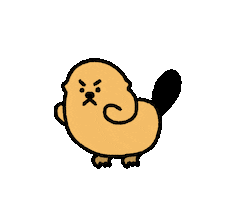 Angry You Can Do It Sticker by takadabear