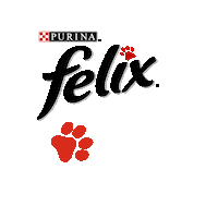 purinaoesterreich happy music cat felix Sticker