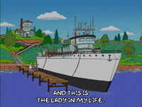season 17 episode 10 GIF