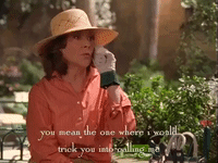 season 3 netflix GIF by Gilmore Girls 