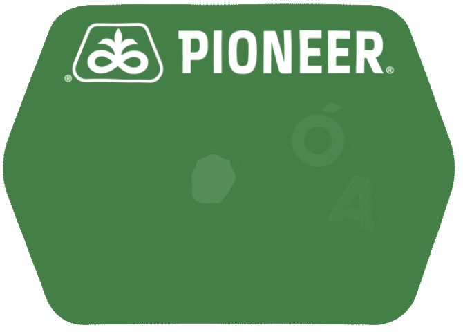 Pioneer Argentina GIF by Pioneer Semillas