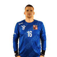 Ceska Hazena Sticker by Czech Handball