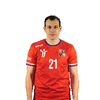 Ceska Hazena Sticker by Czech Handball