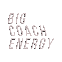 Coach Manifest Sticker by Manifestwithash