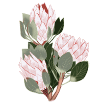 Flower Sticker by Yellow Flamingo