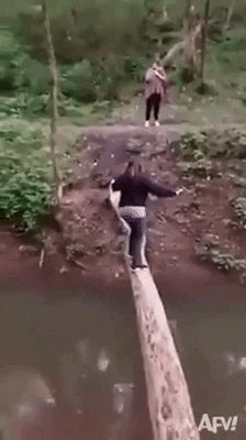 telebun giphygifmaker GIF