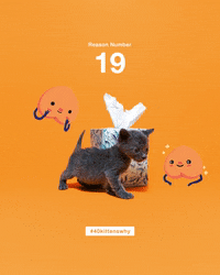 save them all best friends GIF by Best Friends Animal Society