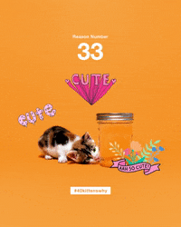 save them all best friends GIF by Best Friends Animal Society