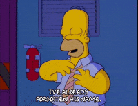 homer simpson episode 20 GIF