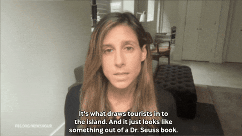 Trees Yemen GIF by PBS News