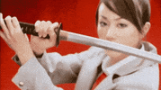martial arts op GIF