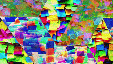 vincentthomasshort giphyupload GIF