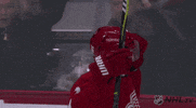 happy ice hockey GIF by NHL