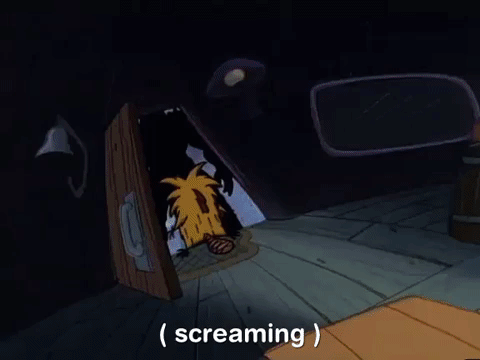 nickrewind giphydvr nicksplat angry beavers giphyab017 GIF