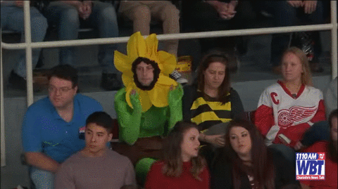 happy dance GIF by Charlotte Checkers