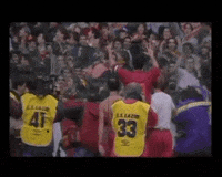 fans GIF by AS Roma