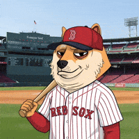 Shiba Inu Illustration GIF by Doge Pound