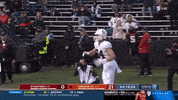 gostanford  GIF